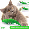 Picture of Ronton Cat Toothbrush Catnip Toy - Durable Hard Rubber - Cat Dental Care, Cat Interactive Toothbrush Chew Toy (1-Pack Green)