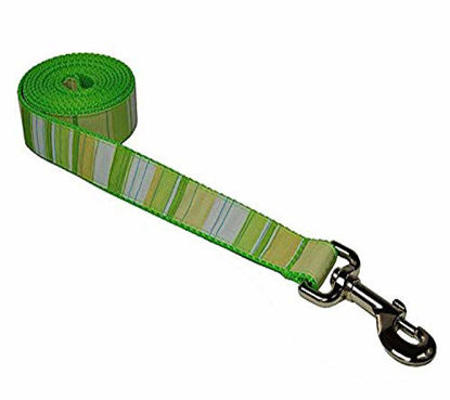 Picture of Small Green/Multi Stripe Dog Leash: 3/4" Wide, 4ft Length - Made in USA.