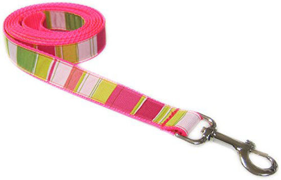 Picture of Small Neon Pink/Multi Stripe Dog Leash: 3/4" Wide, 4ft Length - Made in USA.