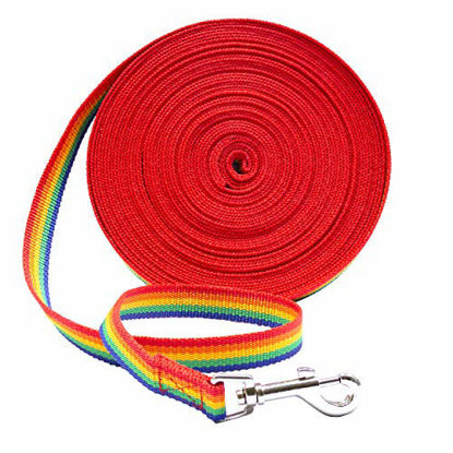 Picture of Dog/Puppy Obedience Long Recall Training Agility Lead Leash - Perfect for Pet Behavior Training, Multiple Sizes (30 ft, Rainbow)