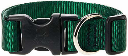 Picture of LupinePet Basics 1" Green 12-20" Adjustable Collar for Medium and Larger Dogs