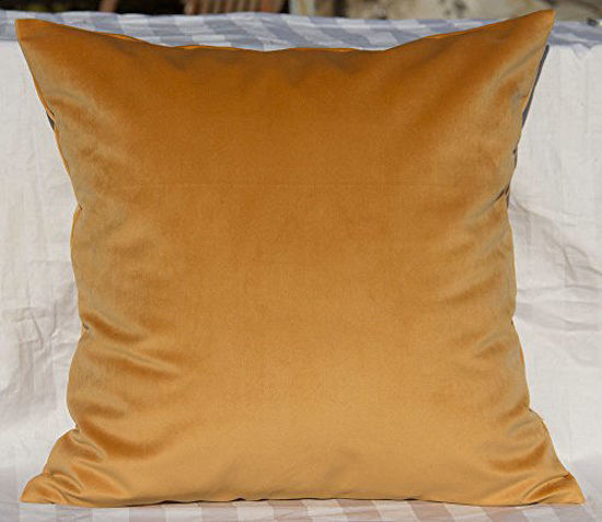 Picture of TangDepot Solid Velvet Throw Pillow Cover/Euro Sham/Cushion Sham, Super Luxury Soft Pillow Cases, Many Color & Size Options - (18"x18", Caramel)