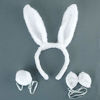 Picture of BinaryABC Bunny Rabbit Costume Set,Ears Headband Bow Ties Tail Set,Halloween Costume Assesories(White)