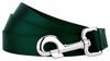 Picture of Country Brook Petz - Vibrant 13 Color Selection - Heavyduty Doublehandle Nylon Leash (6 Foot, 1 Inch Wide, Green)