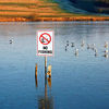 Picture of No Fishing Sign, 14"x 10" .04" Aluminum Reflective Sign Rust Free Aluminum-UV Protected and Weatherproof