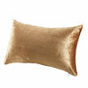 Picture of GIGIZAZA Gold Velvet Decorative Throw Pillow Covers for Sofa Bed 2 Pack Soft Cushion Cover