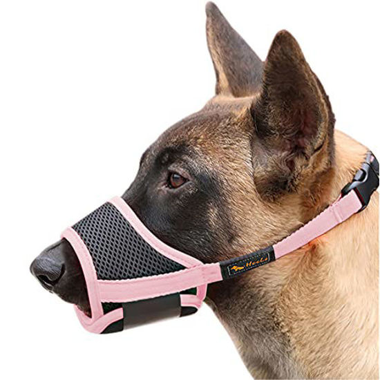 Pink muzzle on outlet dog