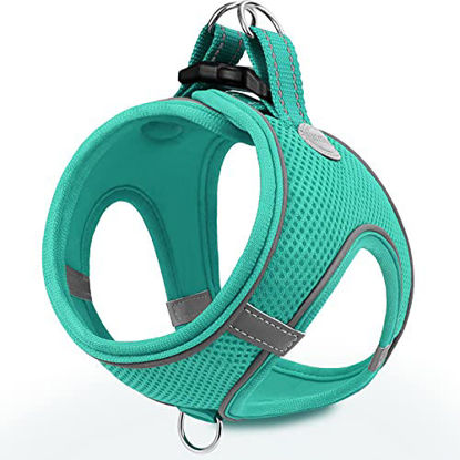 Picture of Joytale Step in Dog Harness,12 Colors,Breathable Mesh Vest Harness,Reflective Soft Padded Harnesses for Extra Small and Small Dogs,Teal,S