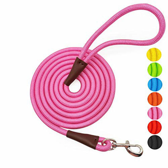 Mountain climbing outlet rope dog leash