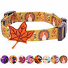 Picture of Blueberry Pet 8 Patterns Thanksgiving Fall Festival Moonlit Turkey Designer Adjustable Dog Collar with Maple, Medium, Neck 14.5"-20"