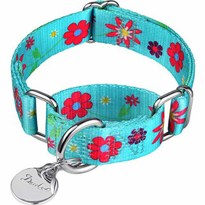 Picture of Dazzber Puppy Dog Collar Floral Print Martingale Collar - No Pull Pet Collar, Heavy Duty Adjustable Dog Collar, Extra Small, Neck 8 Inch -11 Inch, Sun Flower (Teal)