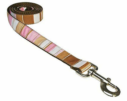 Picture of Medium Brown/Multi Stripe Dog Leash: 3/4" Wide, 6ft Length - Made in USA.