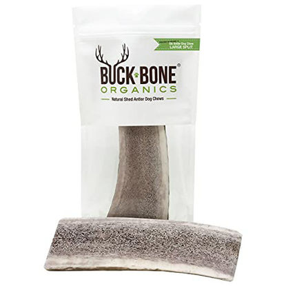 Picture of Buck Bone Organics Elk Antlers For Dogs, Premium Grade A - Naturally Sourced From Shed Antler, Large Split Antlers 6-8" In Length, Made in the USA