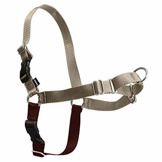 Picture of PetSafe Easy Walk Harness, Large, Fawn & Brown for Dogs