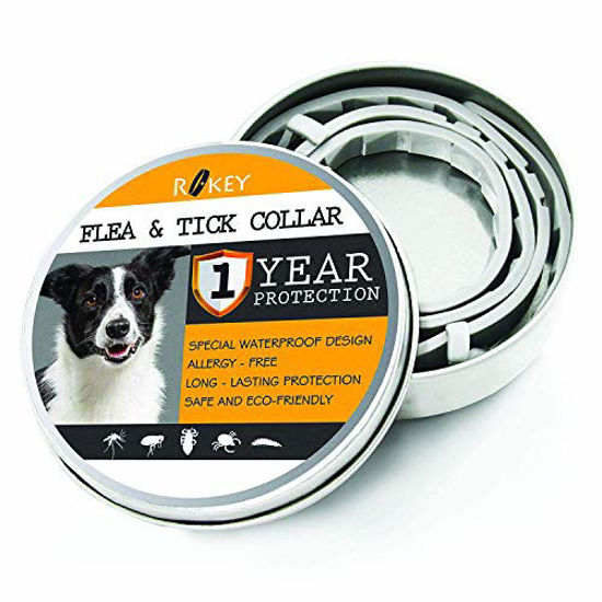 Dyeof cheap flea collar