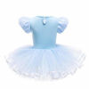 Picture of Dressy Daisy Princess Ballet Leotards Tutu Dress for Toddler Girls Ballerina Outfits Dance Costume Dancewear with Tulle Skirt Size 2T 3T Blue 077