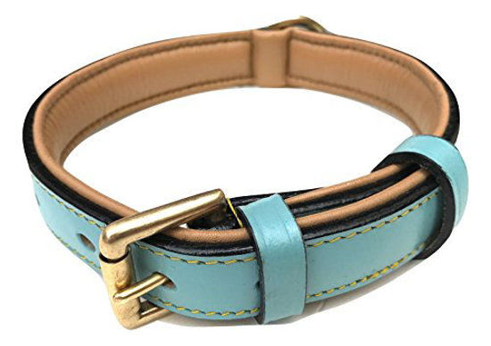 Picture of Soft Touch Collars Leather Dog Collar Padded, Turquoise with Beige Padding, Medium Size