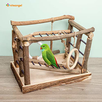 Picture of Niteangel Natural Living Playground for Birds, Bird Activity Center