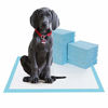 Picture of BESTLE Large Pet Training and Puppy Pads Pee Pad for Dogs 24"x24"-80 Count Super Absorbent & Leak-Proof