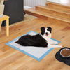 Picture of BESTLE Large Pet Training and Puppy Pads Pee Pad for Dogs 24"x24"-80 Count Super Absorbent & Leak-Proof