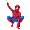 Picture of Halloween Superhero Bodysuit Cosplay Costumes for Kids (Spectacular Spider-Man, 110)