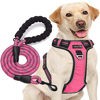 Picture of tobeDRI No Pull Dog Harness Adjustable Reflective Oxford Easy Control Medium Large Dog Harness with A Free Heavy Duty 5ft Dog Leash (S (Neck: 13"-18", Chest: 17.5"-22"), Pink Harness+Leash)