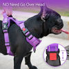 Picture of PoyPet No Pull Dog Harness, No Choke Reflective Dog Vest, Adjustable Pet Harnesses with 2 Leash Attachments with Easy Control Padded Handle for Small Medium Large Dogs(Purple Matching Trim,XS)