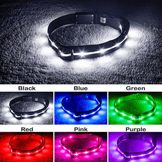 Picture of Blazin' Safety LED Dog Collar - USB Rechargeable with Water Resistant Flashing Light, Medium, Black