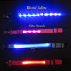 Picture of Blazin' Safety LED Dog Collar - USB Rechargeable with Water Resistant Flashing Light, Medium, Black