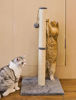 Picture of Qucey 32 Inches Tall Cat Scratching Post, Claw Scratcher with Sisal Rope Include a Cat Interactive Plush Ball Toy