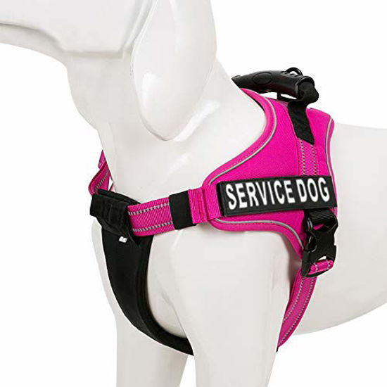 Service dog vest outlet for small dogs