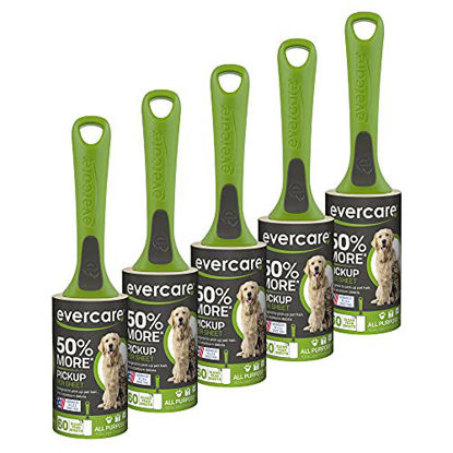 Picture of Evercare All Purpose + Pet Lint Brush, Value Pack - 5 Rollers (300 Sheets Total), Green