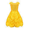 Picture of Belle Dress, Princess Costume Layered Dresses for Girl