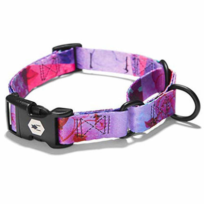 Picture of Wolfgang Man & Beast Premium Martingale Dog Collar for Small Medium Large Dogs, Made in USA, Daydream Print, Large (1 Inch x 18-22 Inch)