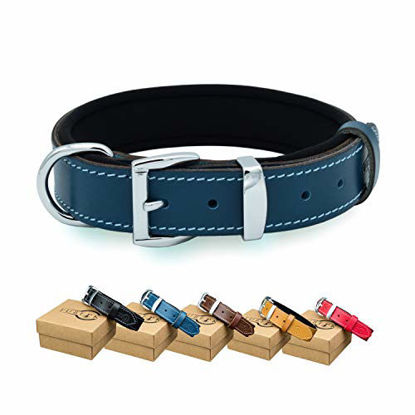 Picture of TUBERK Soft Padded Leather Dog Collar for Large Dogs, Luxurious Design, Strong Metal Buckle and D-Ring (S (16.5" - 19.5"), Royal Blue)