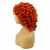 Picture of Short Afro Curly Synthetic Hair Wigs for Black Women Phoenixfly Loose Curly Fluffy Shoulder Length Natural Looking Hair Orange Wigs Heat Resistant Hair Replacement Wigs with Wig Caps (Orange)