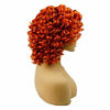 Picture of Short Afro Curly Synthetic Hair Wigs for Black Women Phoenixfly Loose Curly Fluffy Shoulder Length Natural Looking Hair Orange Wigs Heat Resistant Hair Replacement Wigs with Wig Caps (Orange)