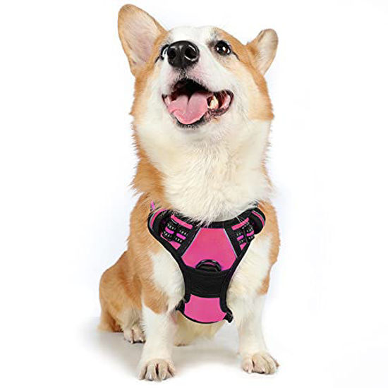 Easy on no outlet pull dog harness