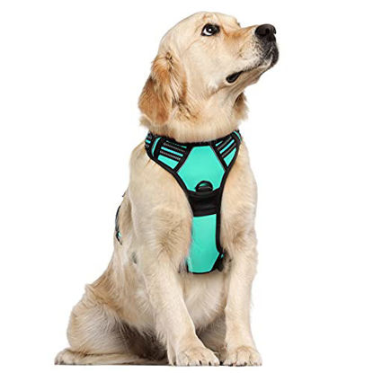 Picture of rabbitgoo Dog Harness, No-Pull Pet Harness with 2 Leash Clips, Adjustable Soft Padded Dog Vest, Reflective No-Choke Pet Oxford Vest with Easy Control Handle for Large Dogs, Mint Green, L