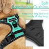 Picture of rabbitgoo Dog Harness, No-Pull Pet Harness with 2 Leash Clips, Adjustable Soft Padded Dog Vest, Reflective No-Choke Pet Oxford Vest with Easy Control Handle for Large Dogs, Mint Green, L