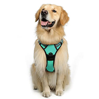 Picture of rabbitgoo Dog Harness, No-Pull Pet Harness with 2 Leash Clips, Adjustable Soft Padded Dog Vest, Reflective No-Choke Pet Oxford Vest with Easy Control Handle for Large Dogs, Mint Green, XL