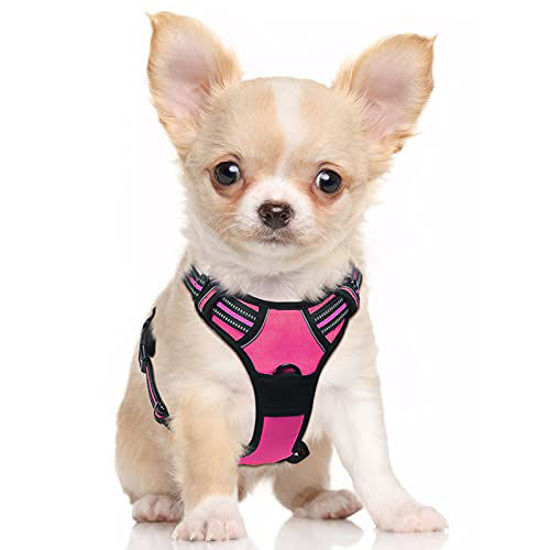 Picture of rabbitgoo Dog Harness, No-Pull Pet Harness with 2 Leash Clips, Adjustable Soft Padded Dog Vest, Reflective No-Choke Pet Oxford Vest with Easy Control Handle for Small Dogs, Rose Red, S