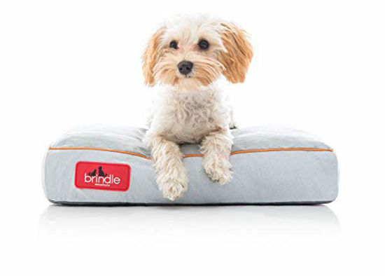 Brindle memory hot sale foam bed