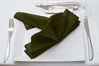 Picture of Utopia Kitchen Cloth Napkins 18 by 18 Inches, 12 Pack Olive Dinner Napkins, Cotton Blend Soft Durable Napkins