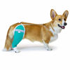 Picture of After Surgery Wear Hip and Thigh Wound Protective Sleeve for Dogs. Dog Recovery Sleeve. Recommended by Vets Worldwide (Small - Short Sleeve, Teal Green)