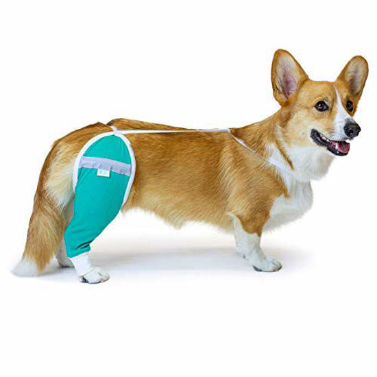 Picture of After Surgery Wear Hip and Thigh Wound Protective Sleeve for Dogs. Dog Recovery Sleeve. Recommended by Vets Worldwide (Small - Short Sleeve, Teal Green)