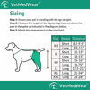 Picture of After Surgery Wear Hip and Thigh Wound Protective Sleeve for Dogs. Dog Recovery Sleeve. Recommended by Vets Worldwide (X-Small, Teal Green)