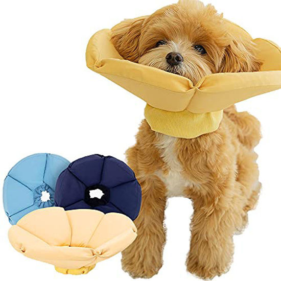 Pillow collar hot sale for dogs