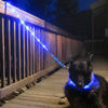 Picture of Blazin' Safety LED Dog Leash - USB Rechargeable Flashing Light, 4 Ft, Water Resistant - Lightweight (S, Blue)