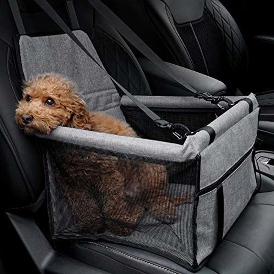 Cat car outlet booster seat